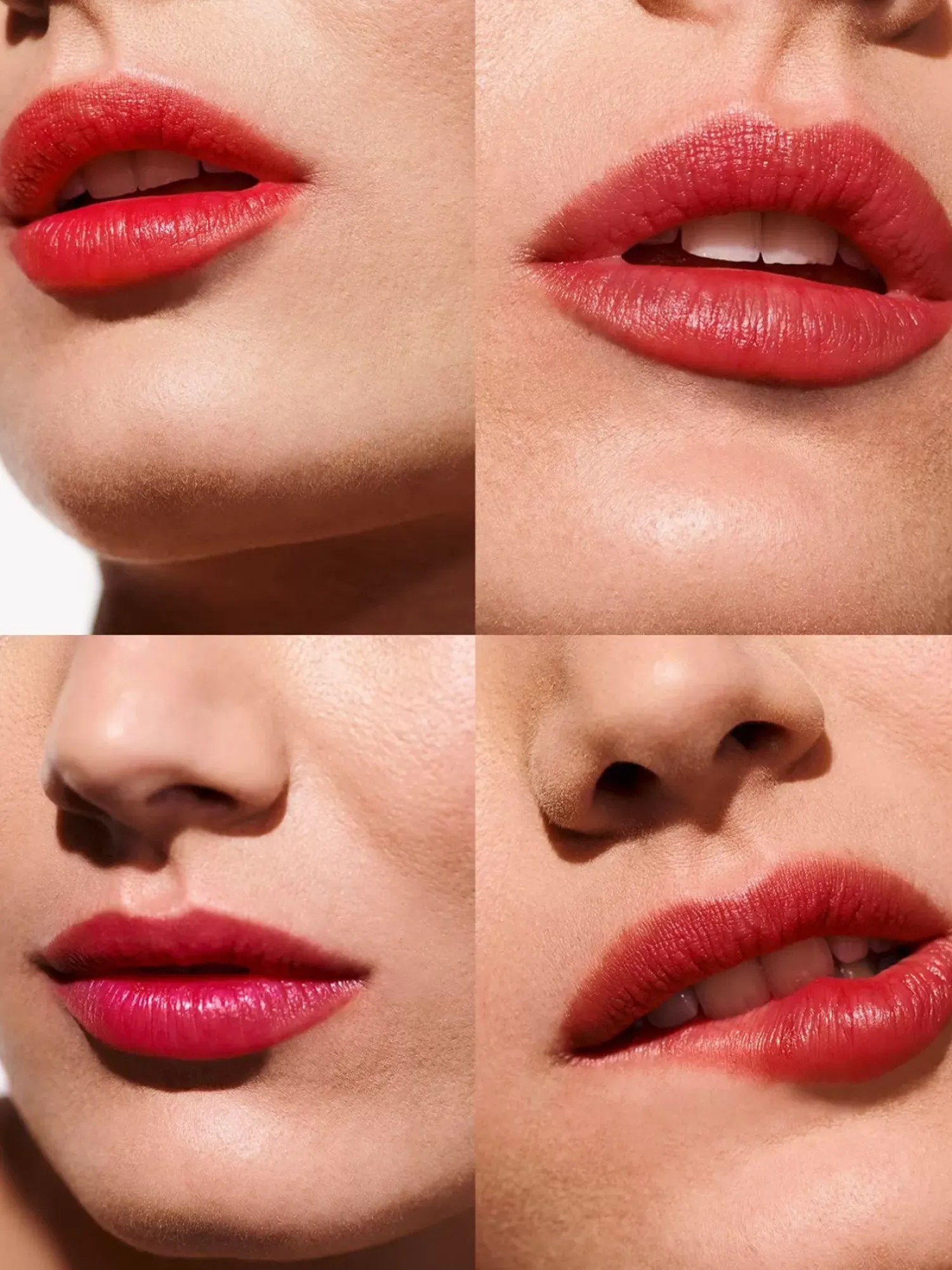 Lip Palettes|Rouje Lip Palettes La Palette