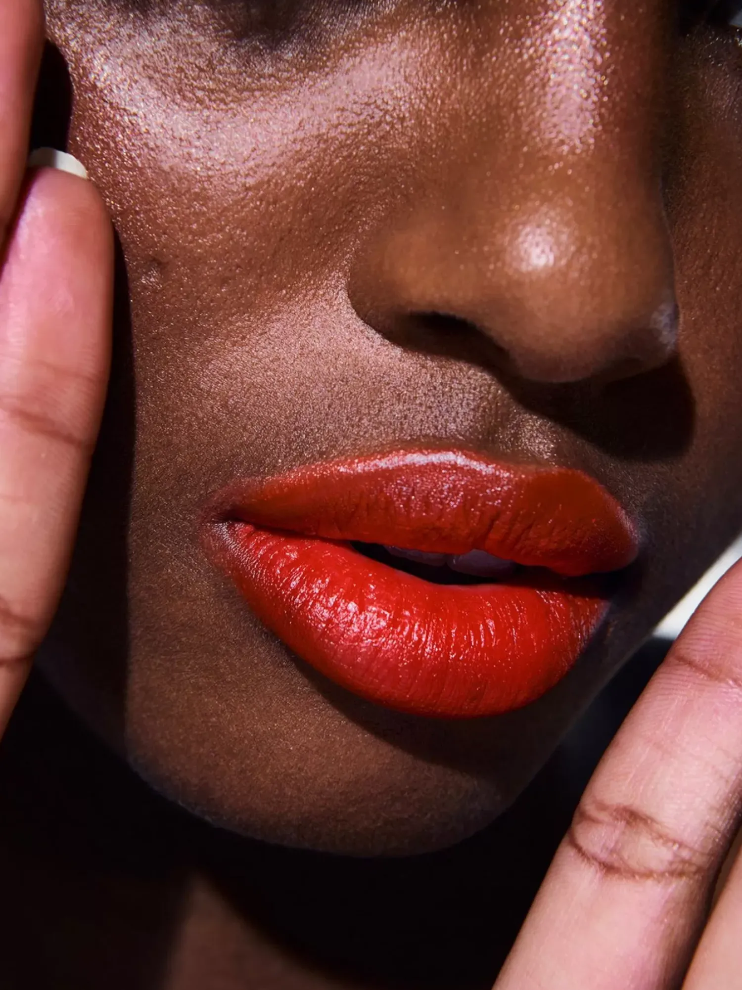 Lipsticks|Rouje Lipsticks Le Rouge